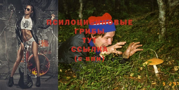 ALPHA PVP Нефтегорск
