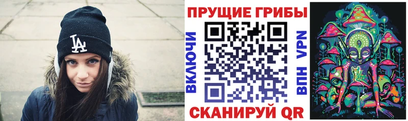 сколько стоит  Северодвинск  hydra ссылки  Галлюциногенные грибы ЛСД 